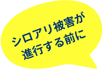 シロアリ被害が進行する前に